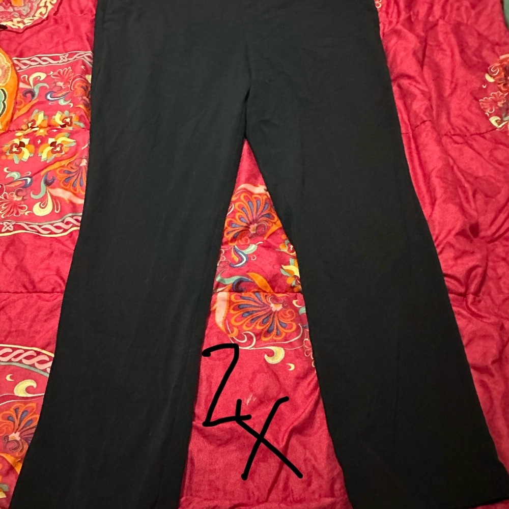 Navy Pants 2X